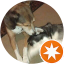 C Cannon profile picture