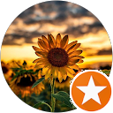 Casey Sipes Smith profile picture