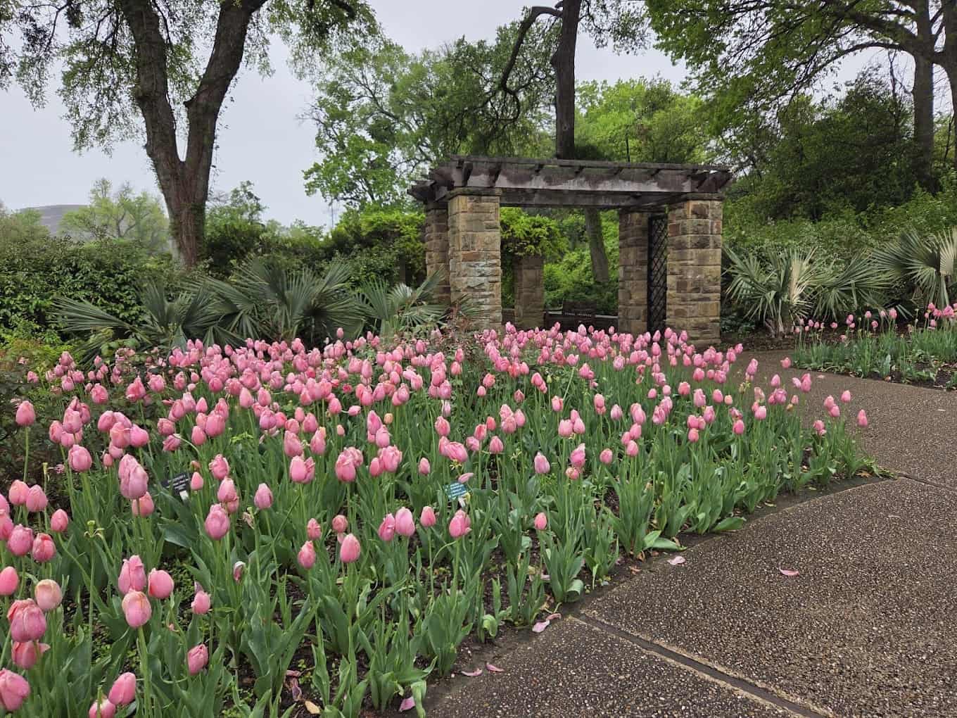 Romance in Full Bloom: Spring Date Ideas in Fort Worth