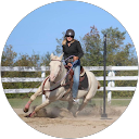 Carly Holmberg profile picture