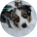 Stefan Eibl profile picture