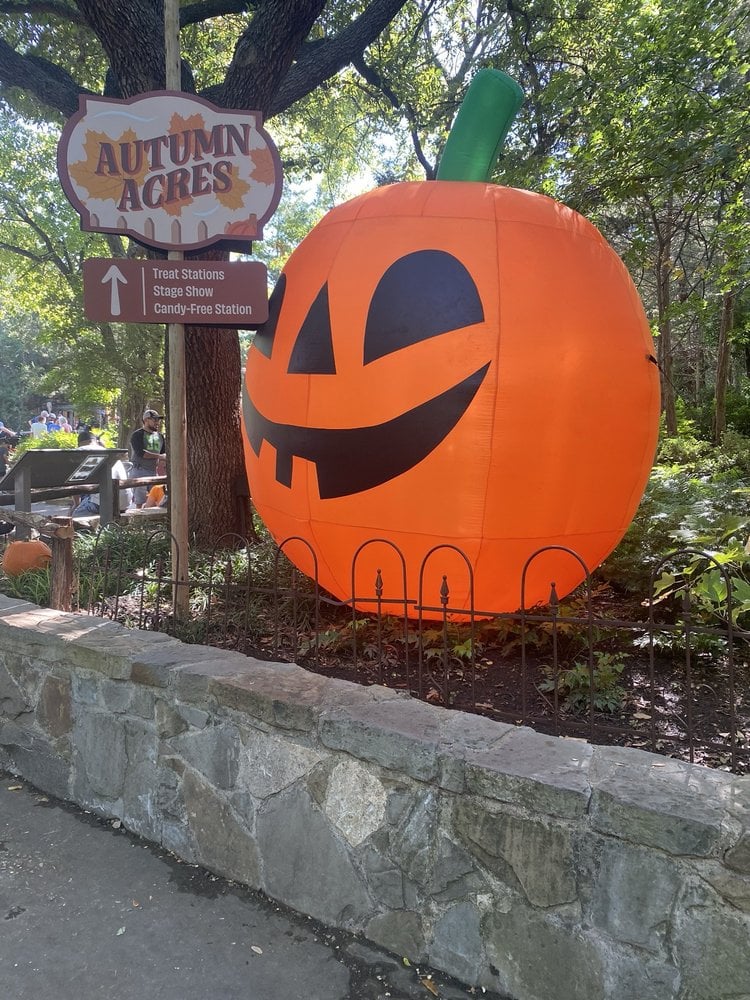 Boo at the Zoo 2 FWTX